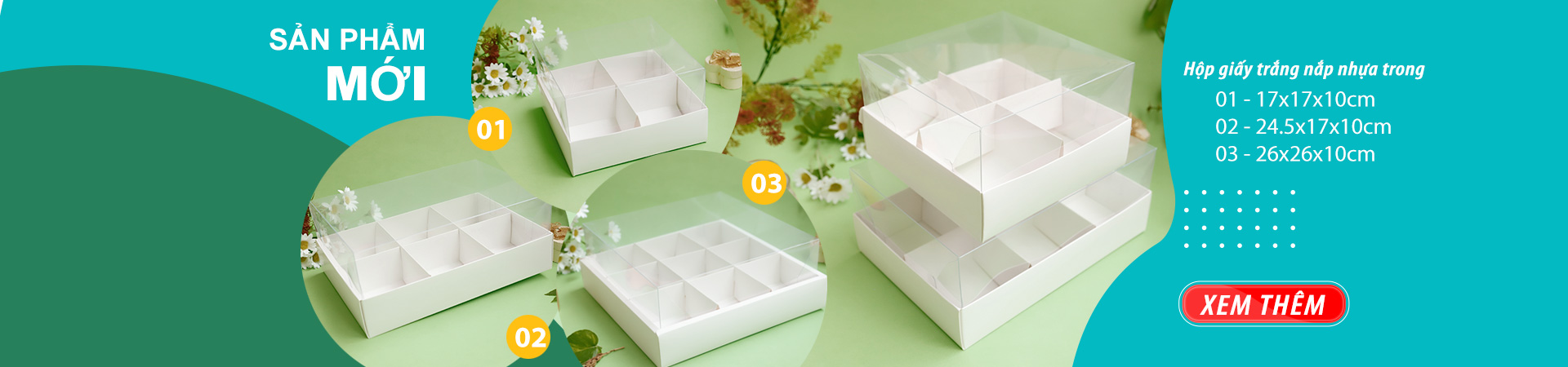 Hộp giấy trắng nắp nhựa trong đựng bánh, hộp bánh có ngăn chia
